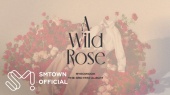 厉旭 迷你三辑《A Wild Rose》Highlight Medley