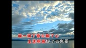 丁香树(伴奏版)