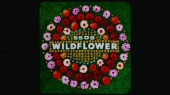 Wildflower(伴奏版)