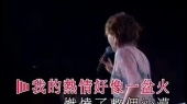 热情沙漠 (KTV版)