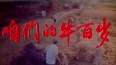 双脚踏上幸福路 电影<咱们的牛百岁>主题曲