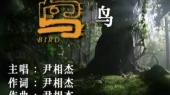 鸟(伴奏版)